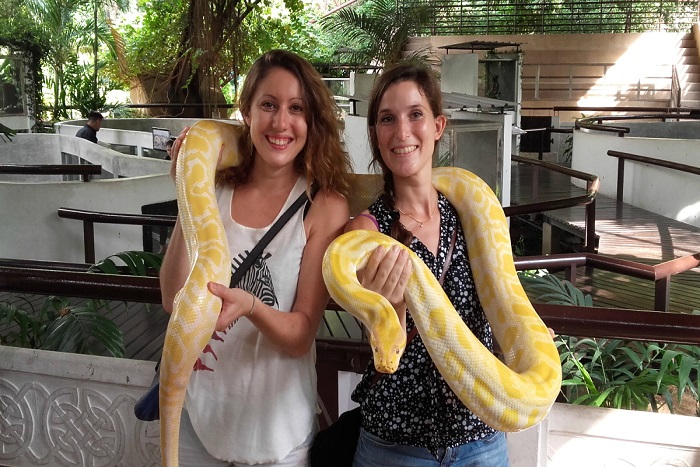 Trung tâm nghiên cứu rắn độc Thái Lan - Vietkite Travel