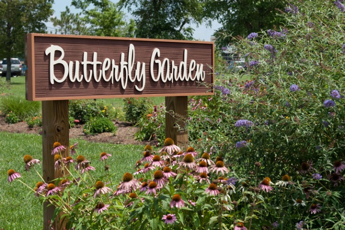 Vuon Buom Butterfly Garden 2