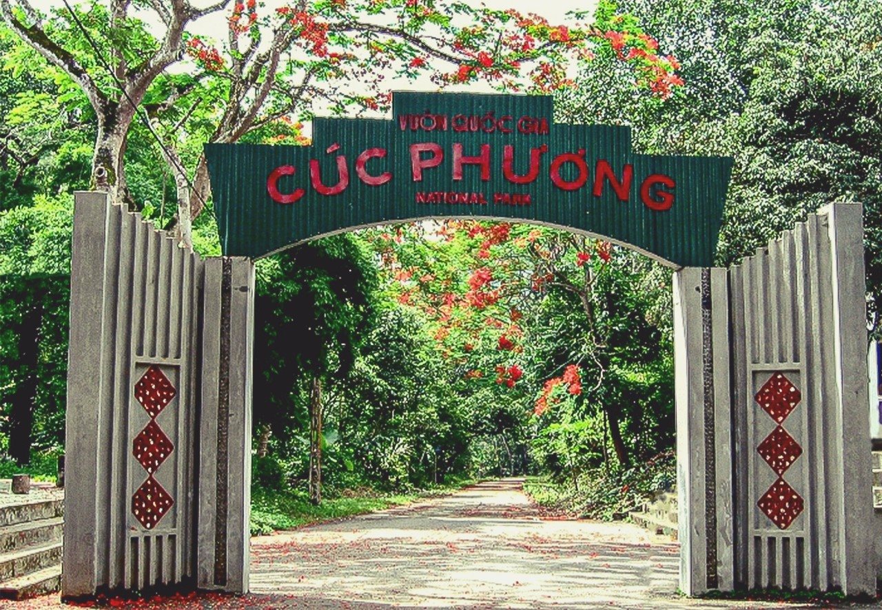 Khám phá Vườn Quốc Gia Cúc Phương - Vườn Quốc Gia đầu tiên tại Việt Nam