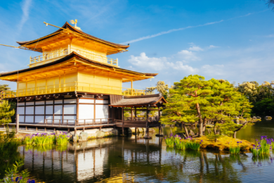 Tour Cung Đường Vàng Nhật Bản - Kinkakuji