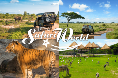 "Săn ảnh" xinh vô tư tại Safari World