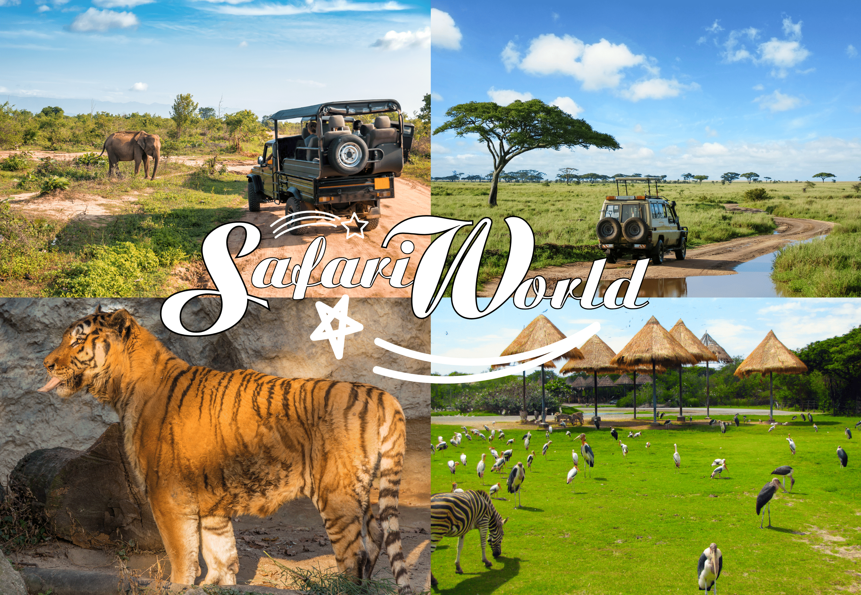 "Săn ảnh" xinh vô tư tại Safari World