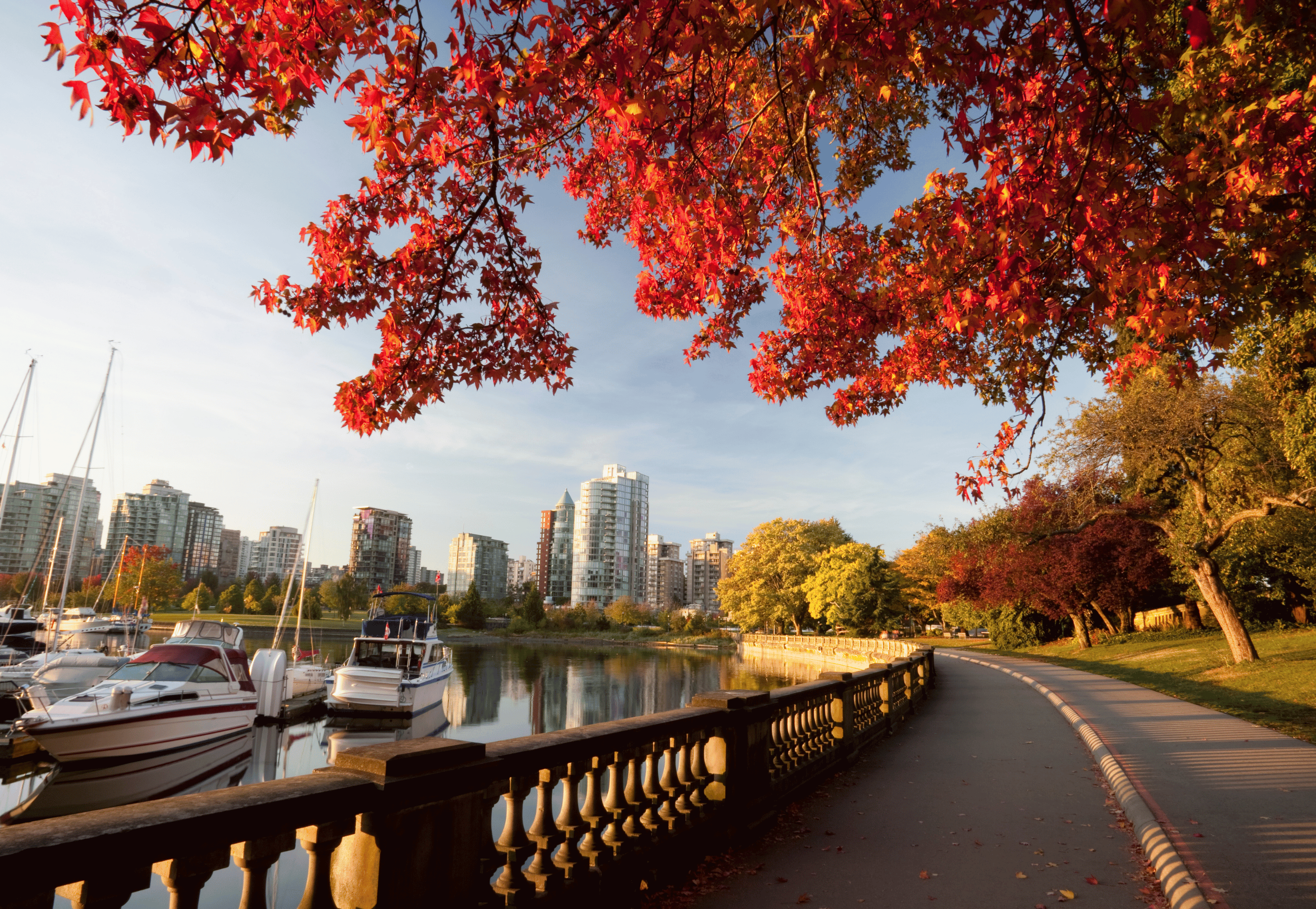 Địa điểm Du Lịch Stanley Park Và Tầm Nhìn Từ Seawall Là Một Trải Nghiệm Không Thể Bỏ Qua Cho Khách Du Lịch Vancouver