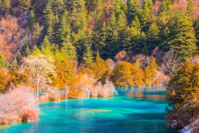 Tour Thành Đô - Cửu Trại Câu - Lạc Sơn Đại Phật - Cửu Trại Câu 1