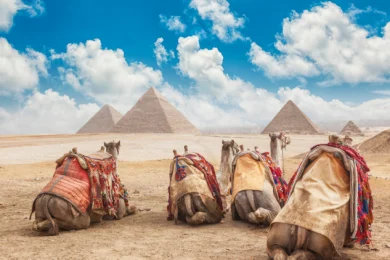 Tour Ai Cập Giza
